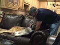 Jess_CouchTimeMooseDaddy-2017 (2)